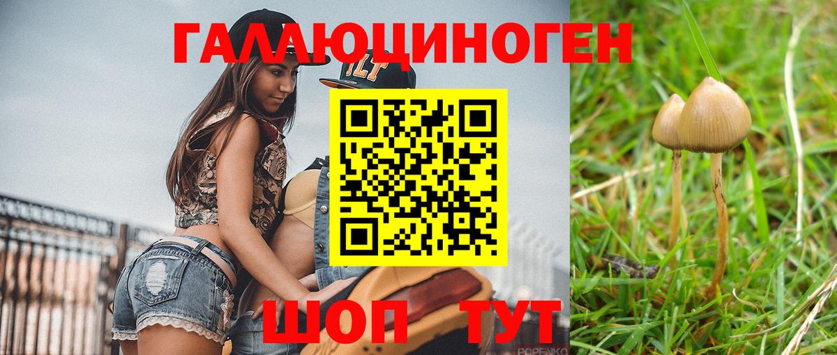 Кимовск  Псилоцибиновые грибы Psilocybine cubensis  Галлюциногенные грибы Magic Shrooms  Вход с VPN 