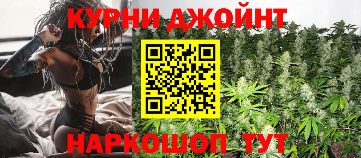 Конопля марихуана Кимовск